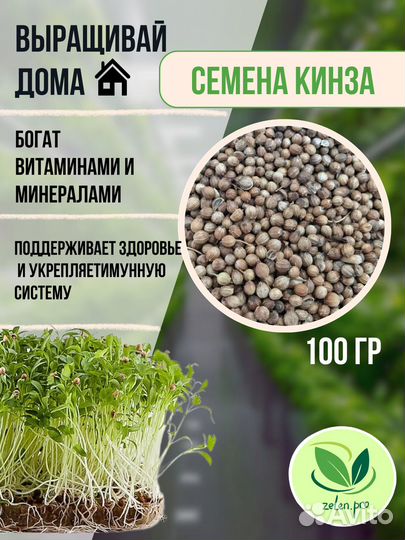 Семена кинзы (кориандр) для микрозелени 100 грамм