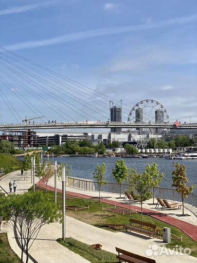 Тренер в парке, выезд, похудение, растяжка