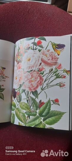 Натюрморт- метаморфозы подарочное издание в орске