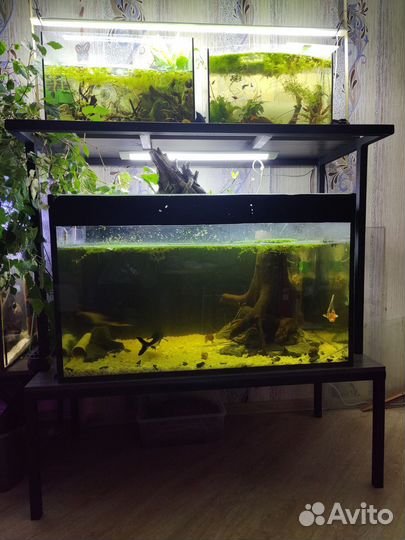 Стеллаж, подставка под аквариум