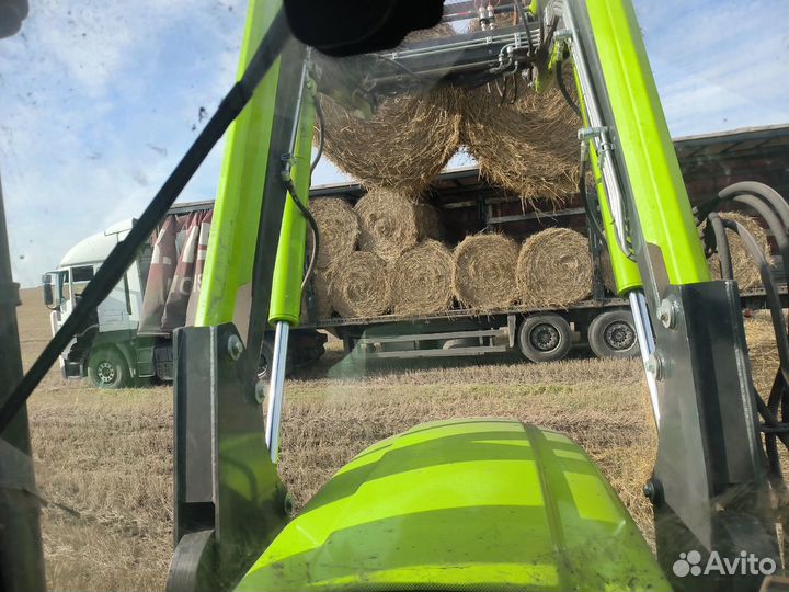 Солома оптом пшеничная