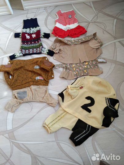 Вещи на собачку