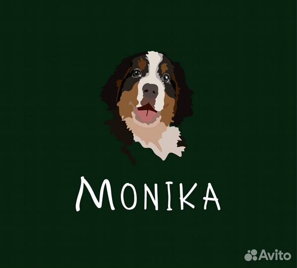 Груминг / стрижка собак