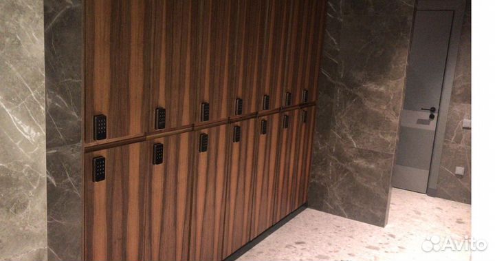 Мебельные электронные Ozlocks замки для финтес-клу