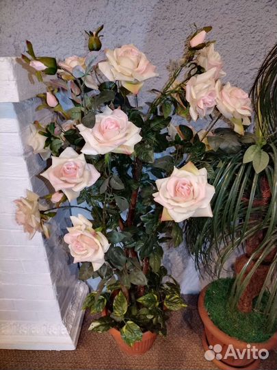 Большие искусственные растения