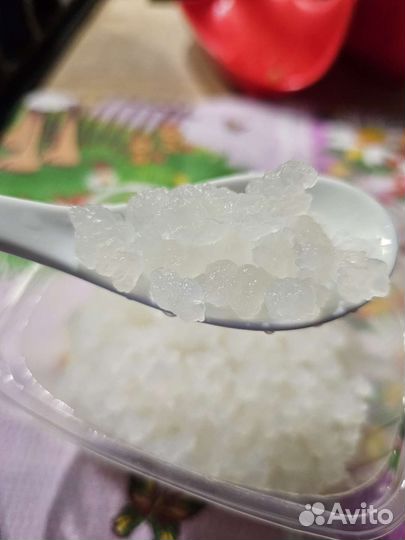 Индийский морской рис