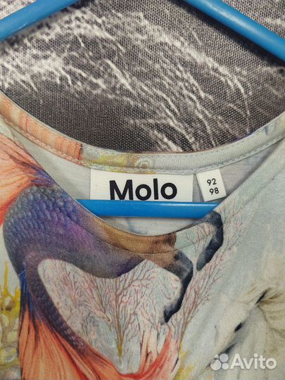 Molo