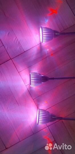 Фито лампа тройная на гибкой ножке на прищепке