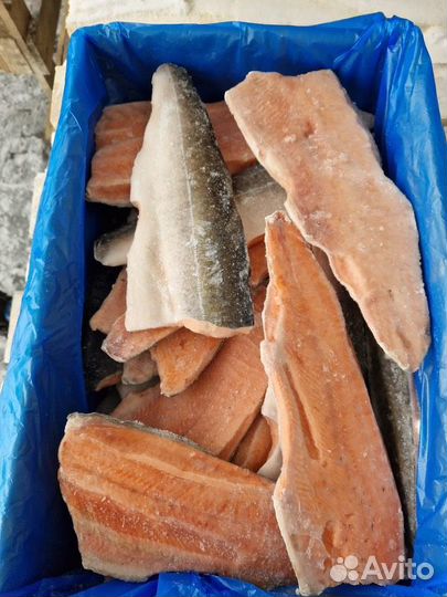 Филе горбуши на коже зам