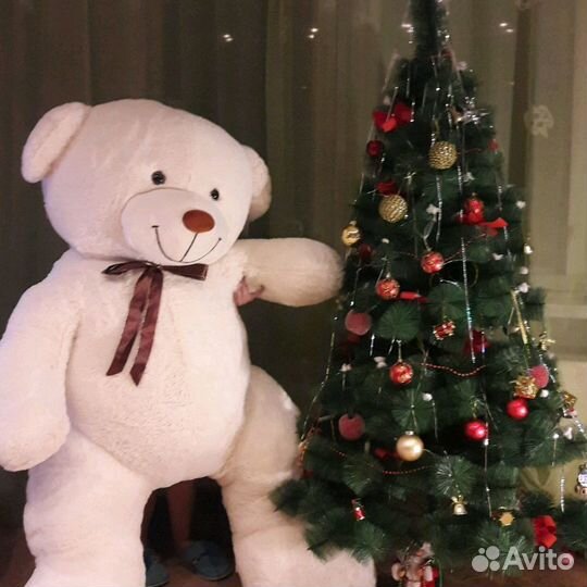 Большие мишки РФ