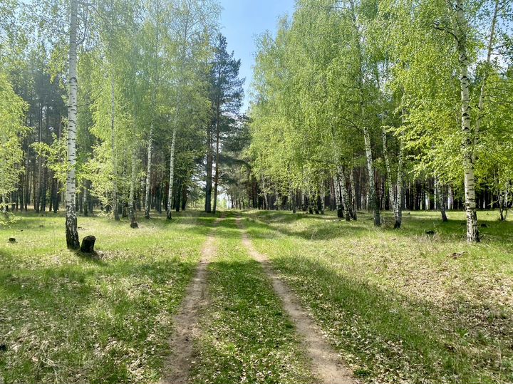 Участок 9 сот. (ИЖС)