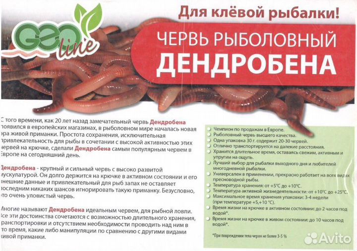 Червь дендробена для рыбалки