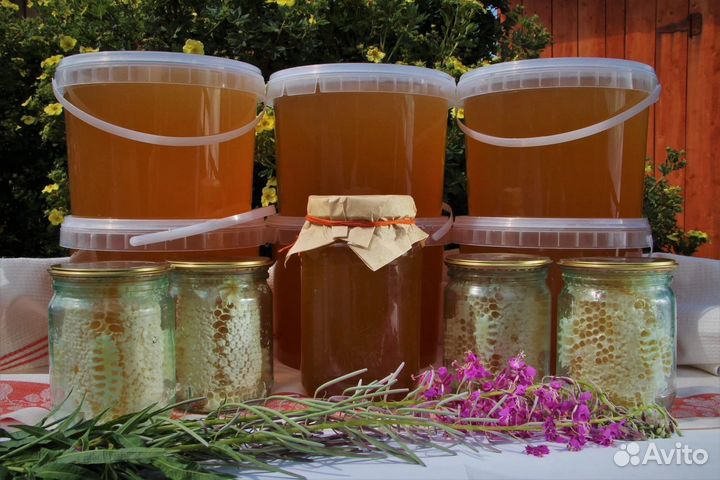 Мед 2023, 2022 высшего качества