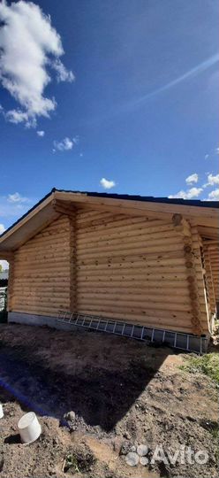 Бревно оцилиндрованное под проект с доставкой