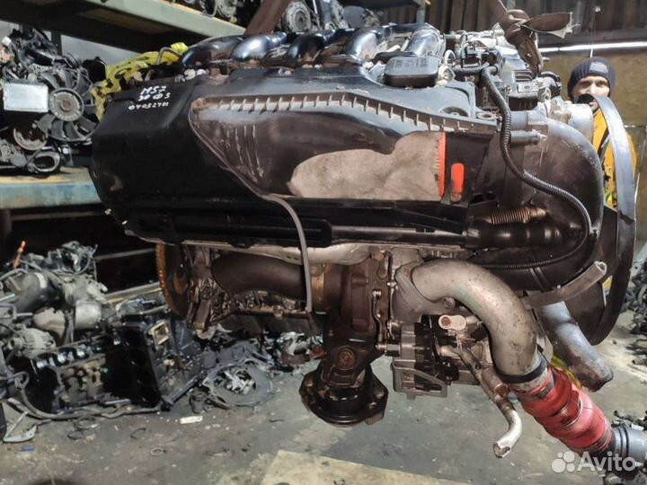 306d3 Двигатель в сборе BMW 5 E60 2007 3.0 дизель