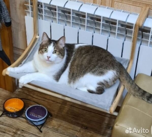 Гамак для кошек на батарею