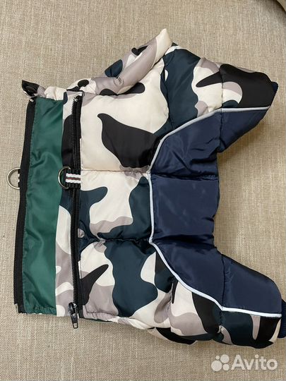 Одежда для собак