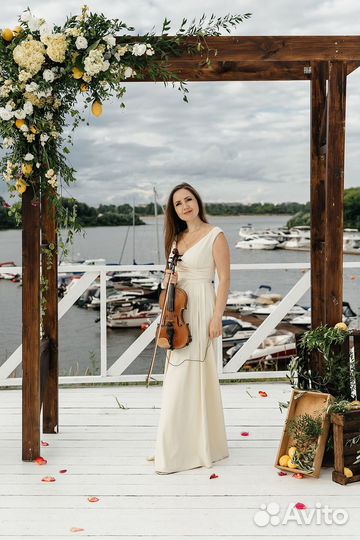 Музыкант скрипач на свадьбу, день рождения