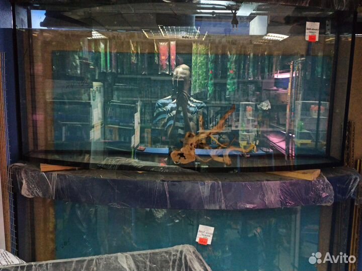 Аквариум