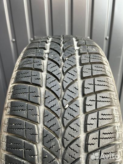Tigar Winter 1 205/55 R16 94H