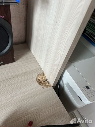 Компьютерный стол со шкафом бу