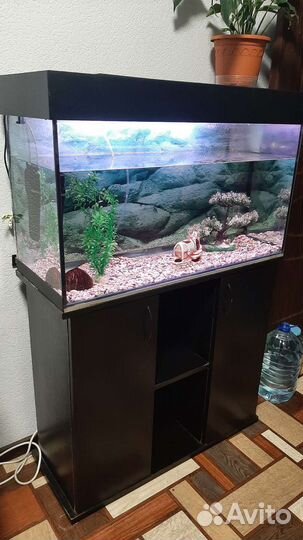 Аквариум с тумбой 100 л. бу