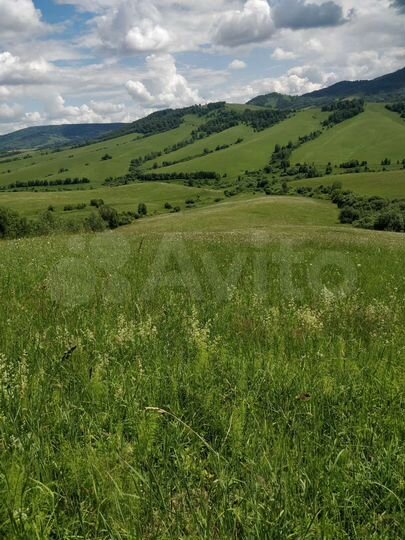 Участок 10 сот. (СНТ, ДНП)