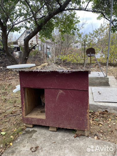 Будка для собаки