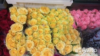 Розы доставка цветов роза букет роз 101 роза