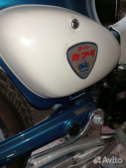 Honda little cub 50