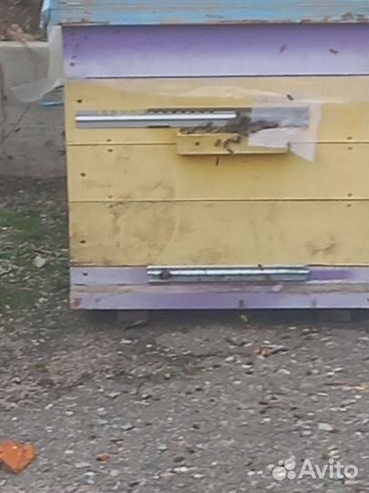 Ульи для пчел и сушь