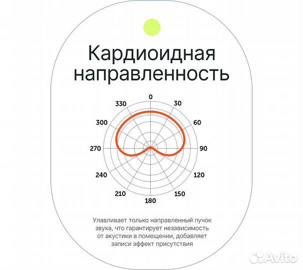 Микрофон кардиоидный Raylab Rec. MiniMic