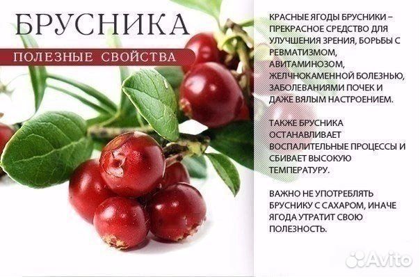 Ягоды и грибы