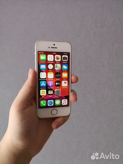 iPhone SE, 16 ГБ