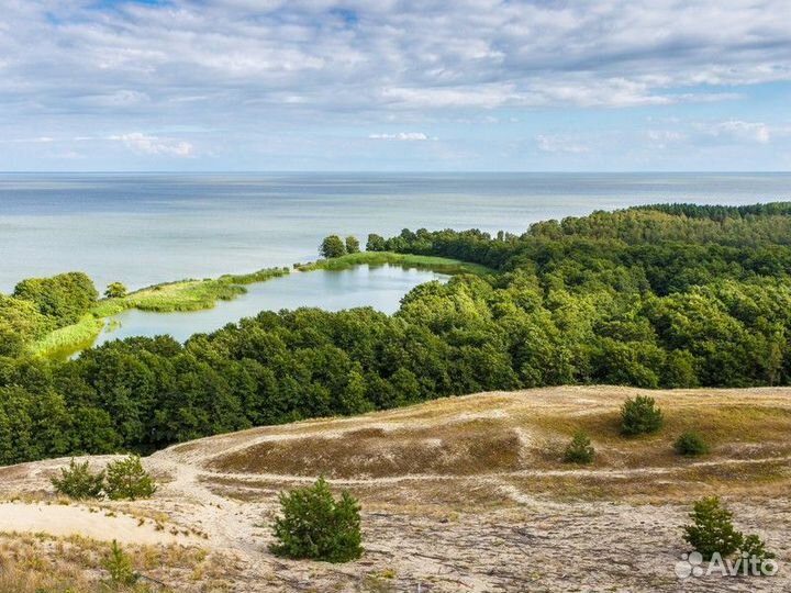 Калининград Топ-Экскурсия На Куршскую косу и в Зел