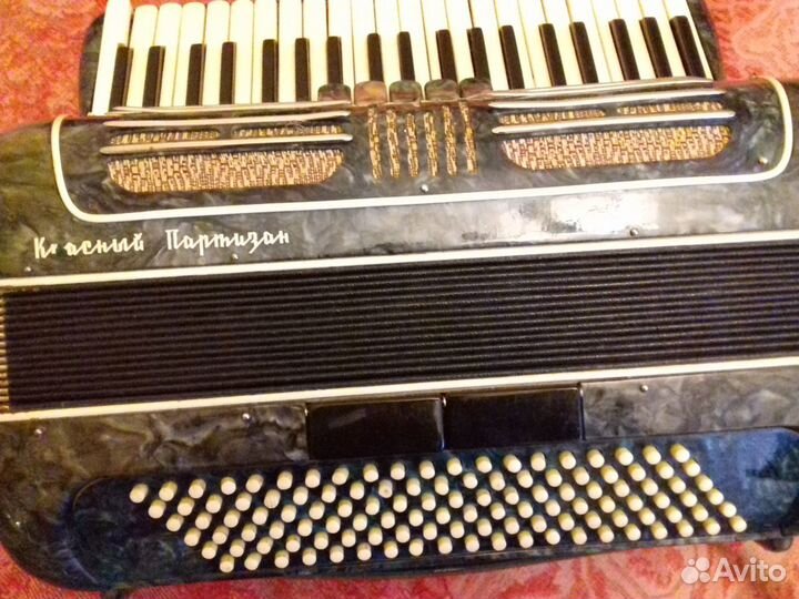 Аккордеон 