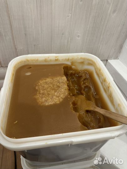 Мед гречишный 2023