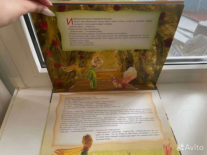 Маленький принц. Панорамка