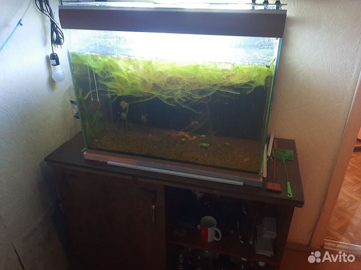 Три аквариума цена договорная