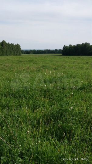 Участок 4,3 га (СНТ, ДНП)