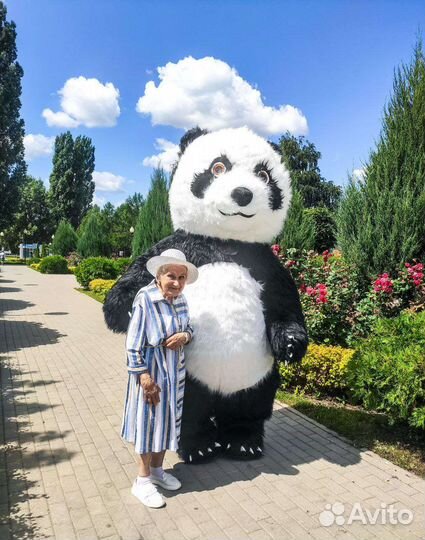 Поздравление от Панды, Мишки