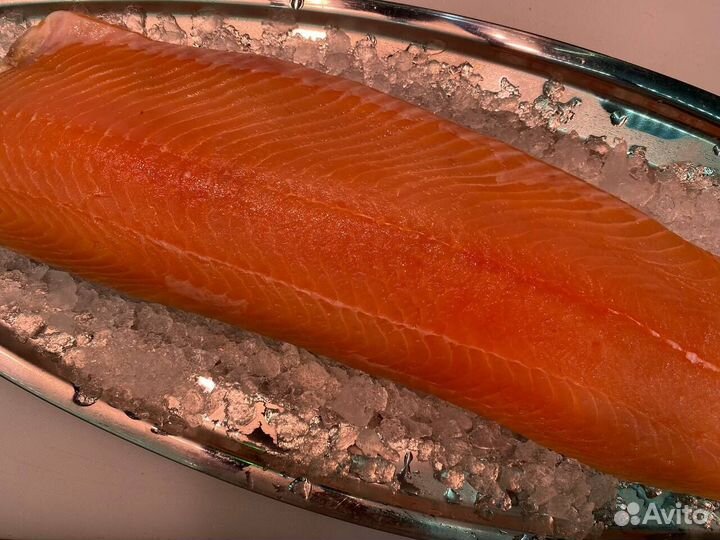 Лосось филе слабосолённый. Оптом