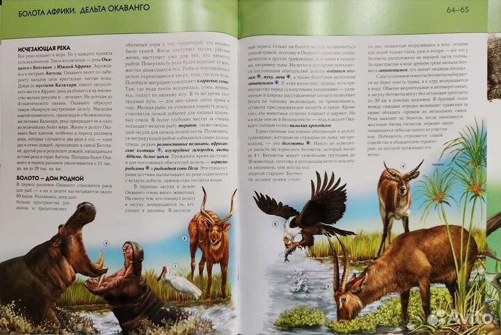 Энциклопедия Подводный мир