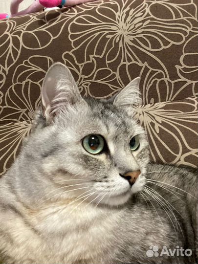 12 лет и стал не нужен