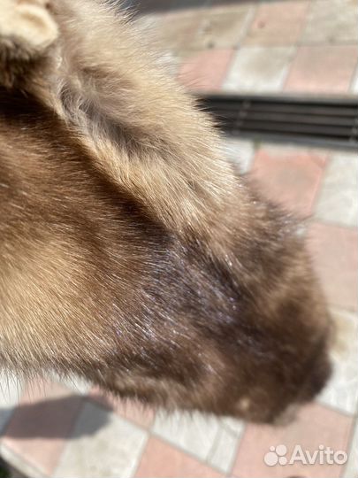 Шкурка соболиная