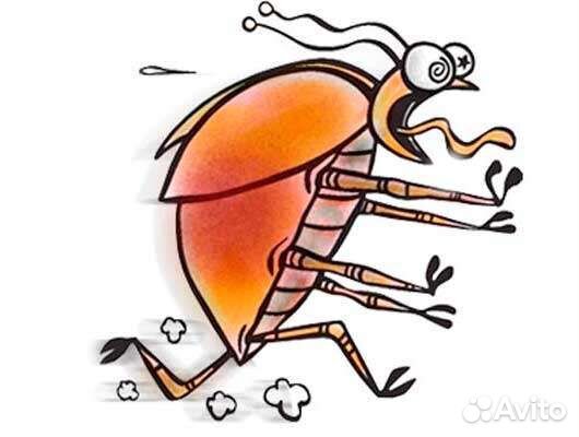 Клещи тараканы клопы муравьи осы шершни