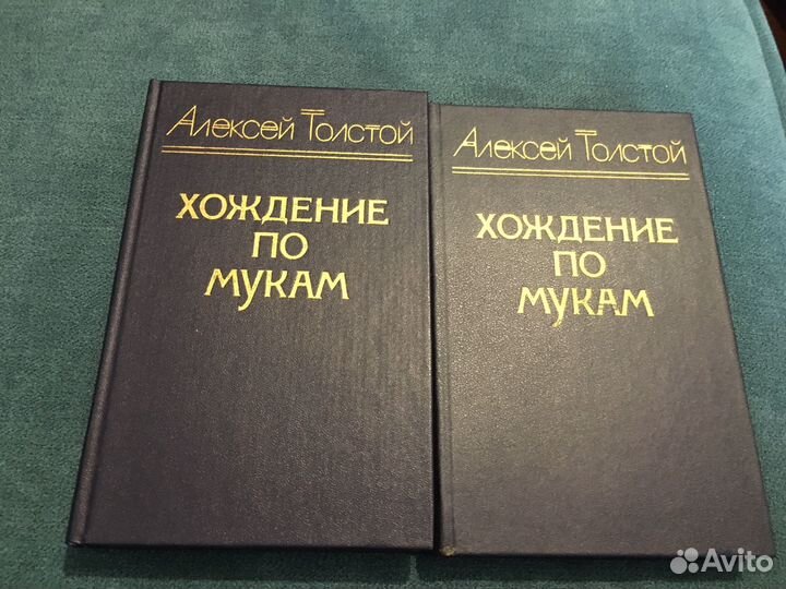 Хождение по мукам