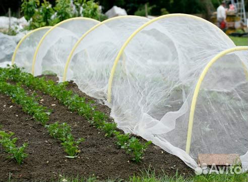 Спанбонд, агроспан 30 г/м2