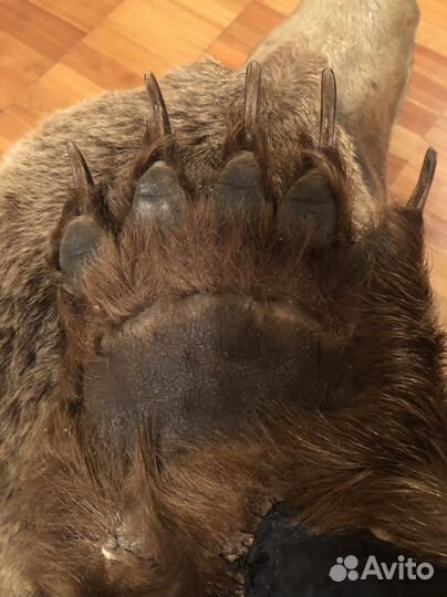 Шкура медведя имитация