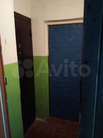 3-к. квартира, 68,6 м², 2/3 эт.